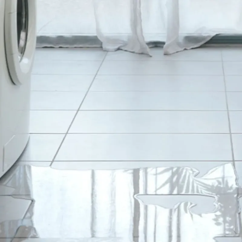 Appliance Leak Cleanup in Marlette, MI
