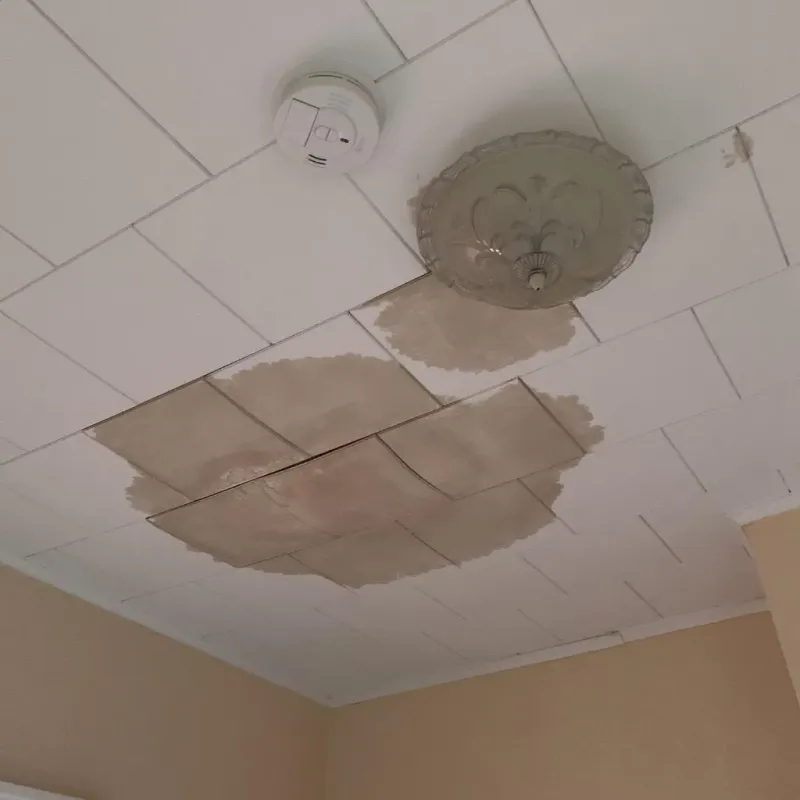 Ceiling Water Damage Repair in Marlette, MI