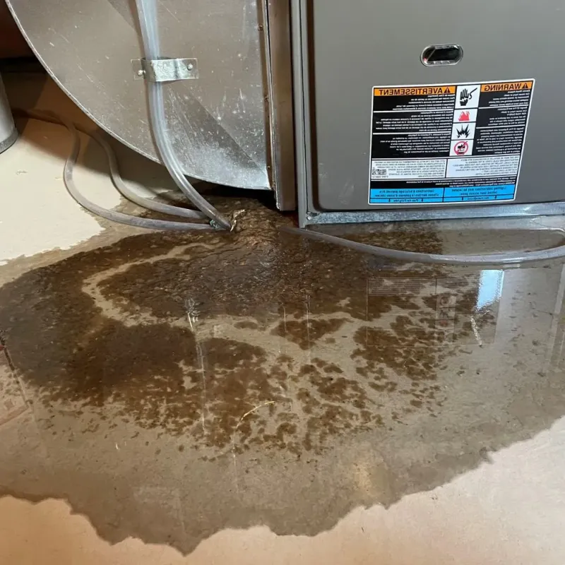 Pipe Burst and Leak Restoration in Marlette, MI