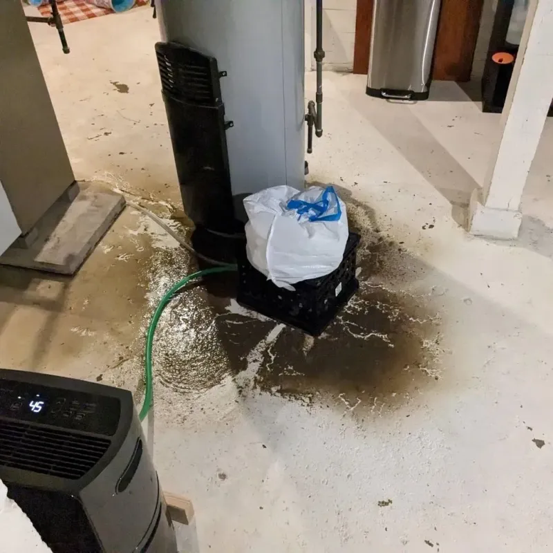 Sewage Backup Cleanup Service in Marlette, MI